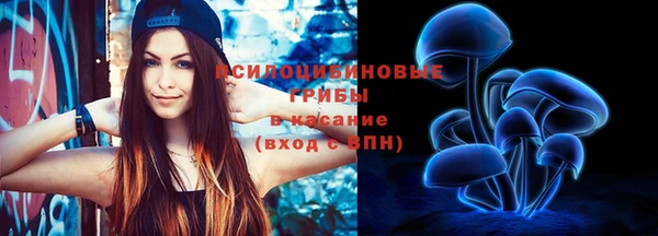 соль ск Алексеевка