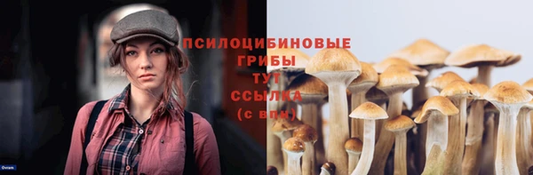 сатива Алексин