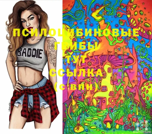 соль ск Алексеевка