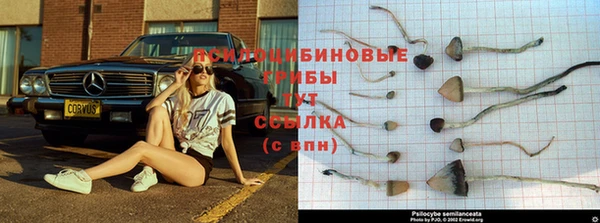 соль ск Алексеевка