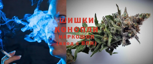 сатива Алексин