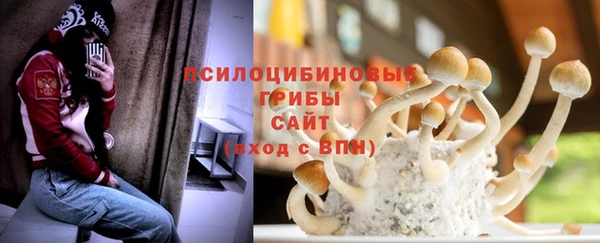 дживик Россошь