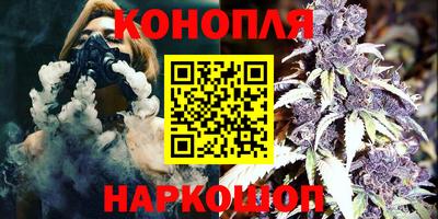 индика Пугачёв