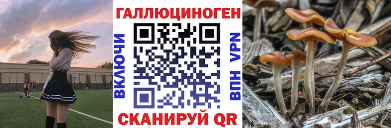hydra ССЫЛКА закладка Тара Псилоцибиновые грибы прущие грибы