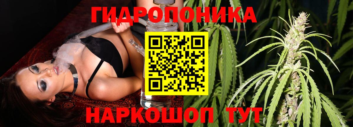 МАРИХУАНА семена  Бошки Шишки семена  Марихуана марихуана  МАРИХУАНА конопля  Вход с VPN  Тара 